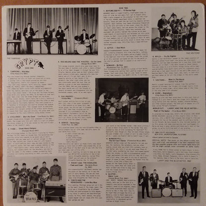 Various : Back From The Grave Volume Four (LP, Comp)