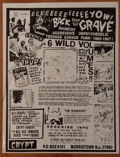 Various : Back From The Grave Volume Four (LP, Comp)
