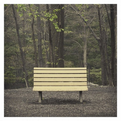 Streetlight Manifesto : The Hands That Thieve (2xLP, Album, Cle)