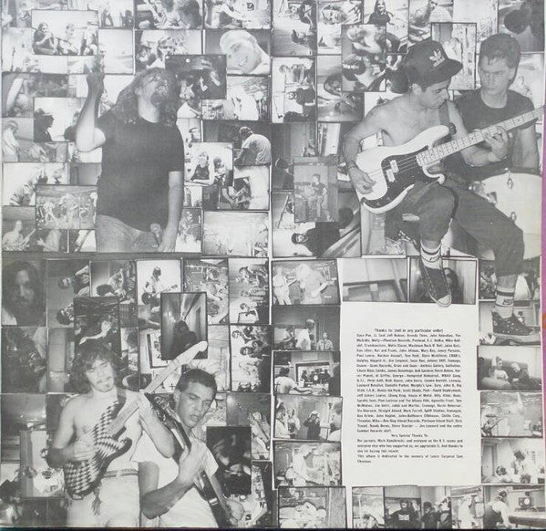 Ludichrist : Immaculate Deception (LP, Album)