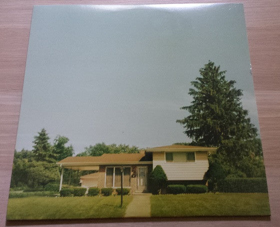 The Orwells : Disgraceland (LP)