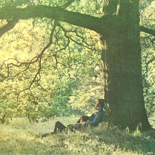 Yoko Ono / The Plastic Ono Band : Yoko Ono / Plastic Ono Band (CD, Album, Num, RE, RM)