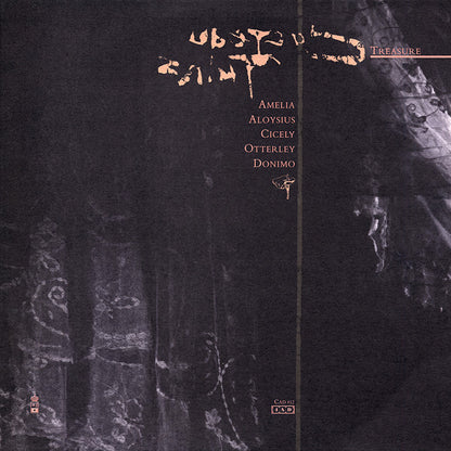 Cocteau Twins : Treasure (LP, Album)