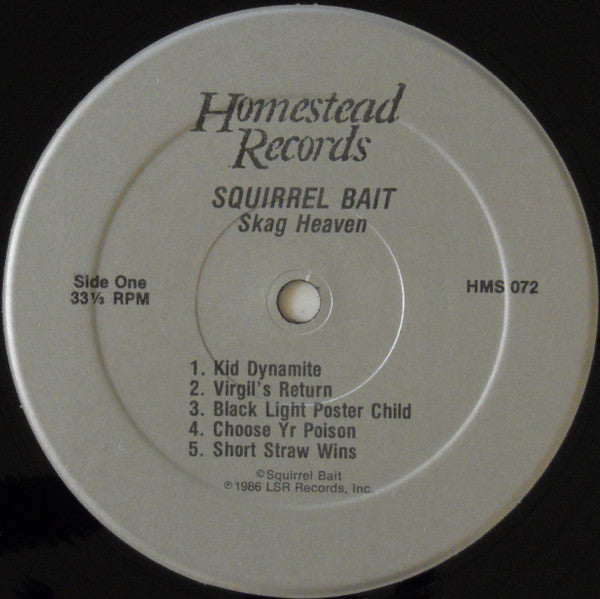 Squirrel Bait : Skag Heaven (LP, Album)
