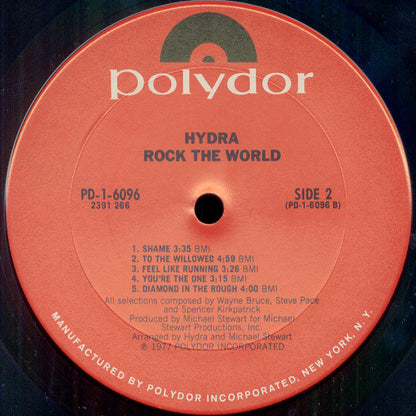 Hydra (13) : Rock The World (LP, Album, Pit)
