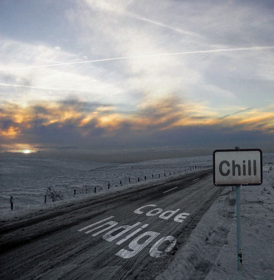 Code Indigo : Chill (CD, Album)