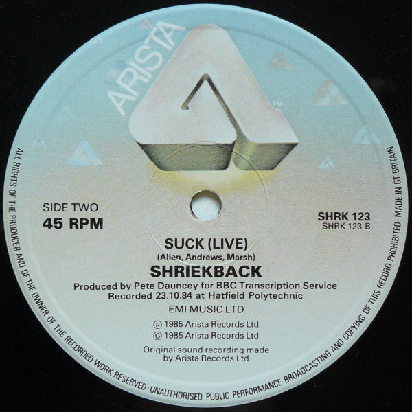 Shriekback : Nemesis (Extended) (2x12", Single, Ltd)