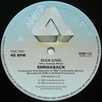 Shriekback : Nemesis (Extended) (2x12", Single, Ltd)