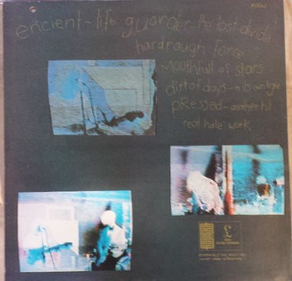 Dustdevils : Rhenyards Grin (LP, Album)