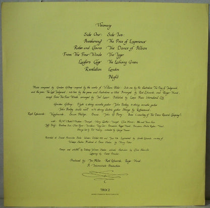 Gordon Giltrap : Visionary (LP)