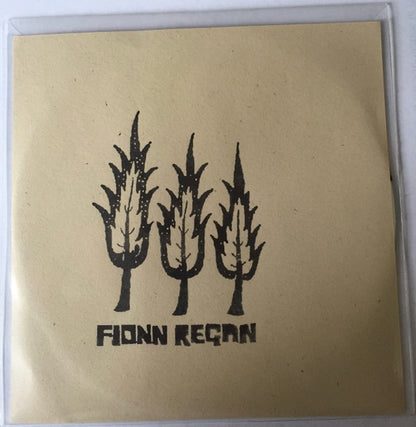 Fionn Regan : Little Miss Drunk / Black Water Child (CD, Single)