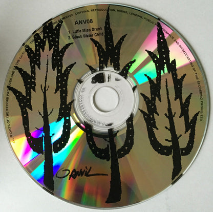 Fionn Regan : Little Miss Drunk / Black Water Child (CD, Single)