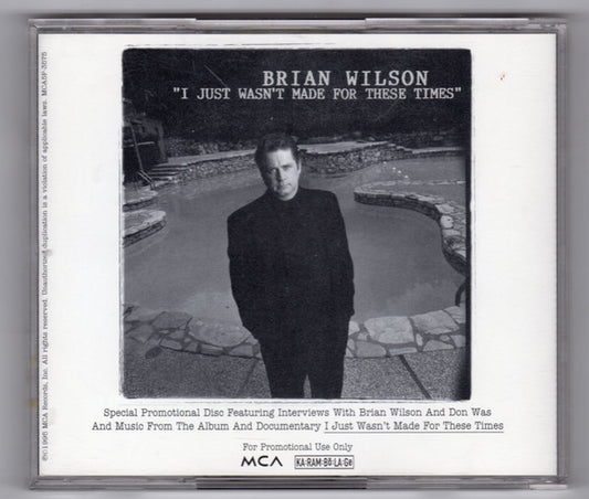 I Just Wasn't Made For These Times - Brian Wilson