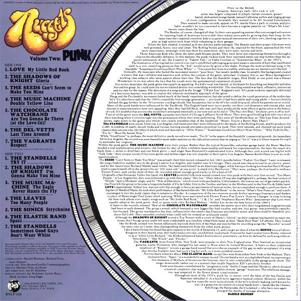 Various ‎– Nuggets Volume Two: Punk