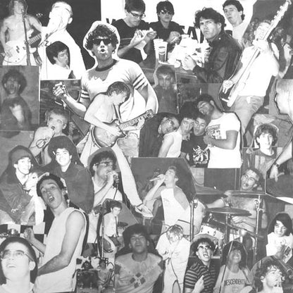 Descendents ‎– Enjoy!