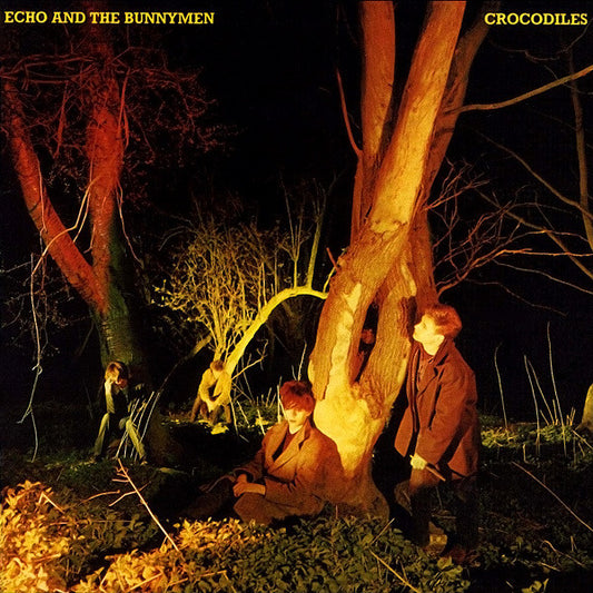 Echo And The Bunnymen* ‎– Crocodiles